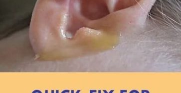 WhatsApp Image 2025 10 06 at 11.45.23 f7f46669