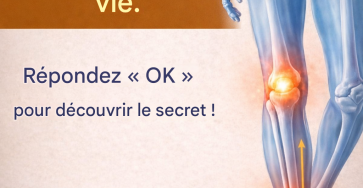 24059a4b 9ef1 40b8 8d19 25c41ea44aa8