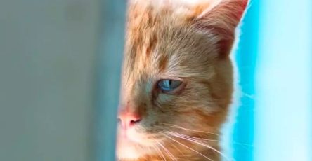 4600e0ea b1b5 401c abbc 94609df25483 (2)