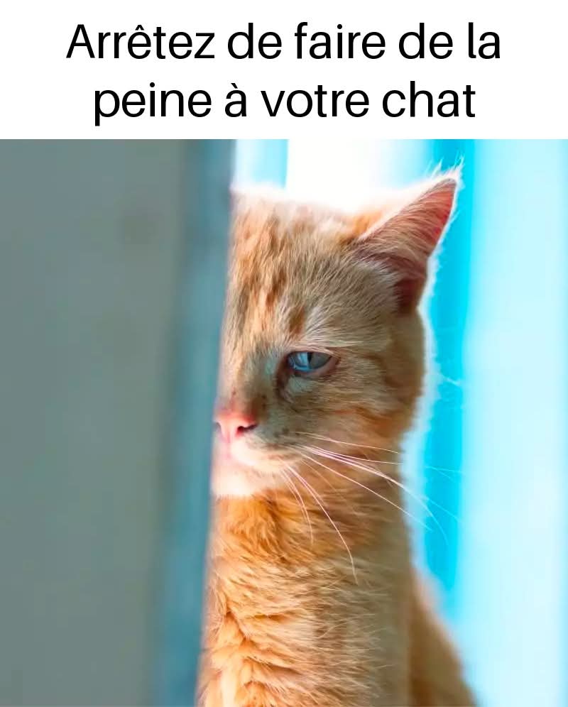 4600e0ea b1b5 401c abbc 94609df25483 (2)