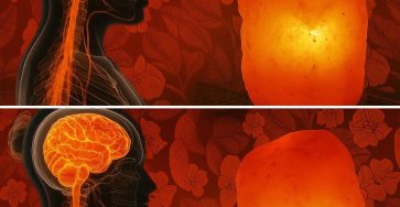 478669558 122155925078364020 7891774500414650537 n 2025 08 07T214249.426