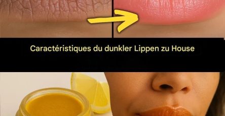 481d6b8e c271 4677 b9f6 dde29bdaff53