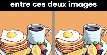 486149422 1063757885788786 7861084290857802343 n