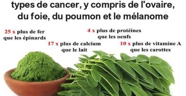 498026206 1108992837927830 8693461996081186026 n