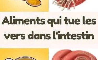 557074541 122215603028443552 8826936882468594679 n