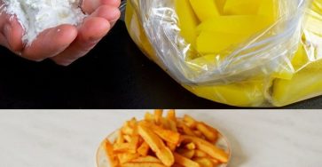 557742310 1514750692985497 1111067390168023485 n