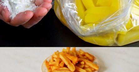 557742310 1514750692985497 1111067390168023485 n