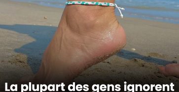 558089361 1230067782491128 1448476339091333224 n