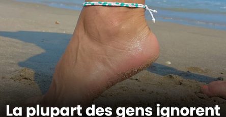 558089361 1230067782491128 1448476339091333224 n