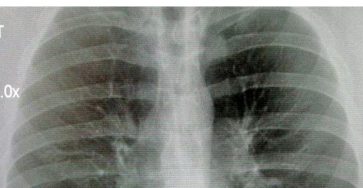 558089894 1216288533864926 3651152478778200568 n (1)