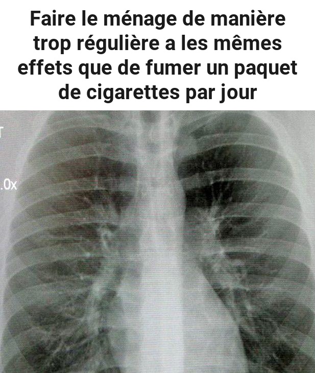 558089894 1216288533864926 3651152478778200568 n (1)