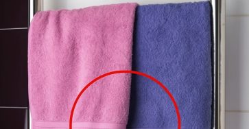 558873029 809036765188787 5873022293127389133 n (1)