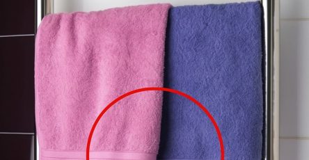 558873029 809036765188787 5873022293127389133 n (1)