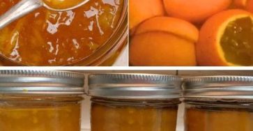 558887818 2219355288489832 7120952321160485651 n