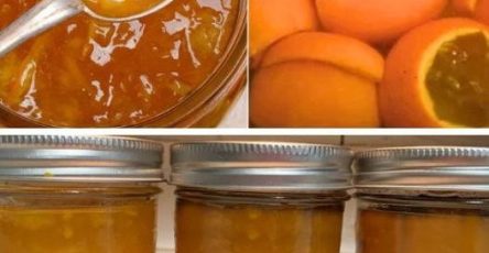 558887818 2219355288489832 7120952321160485651 n