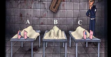 638049394 1339673834863855 5363666405182311358 n