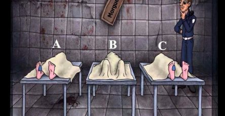 638049394 1339673834863855 5363666405182311358 n