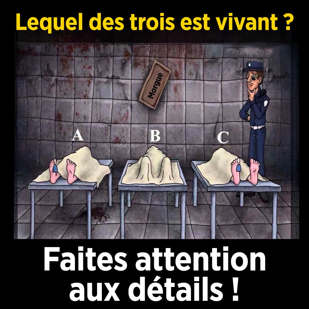 638049394 1339673834863855 5363666405182311358 n