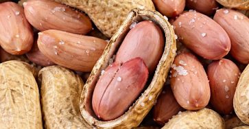 639787179 1467321184753257 5067182420771372179 n