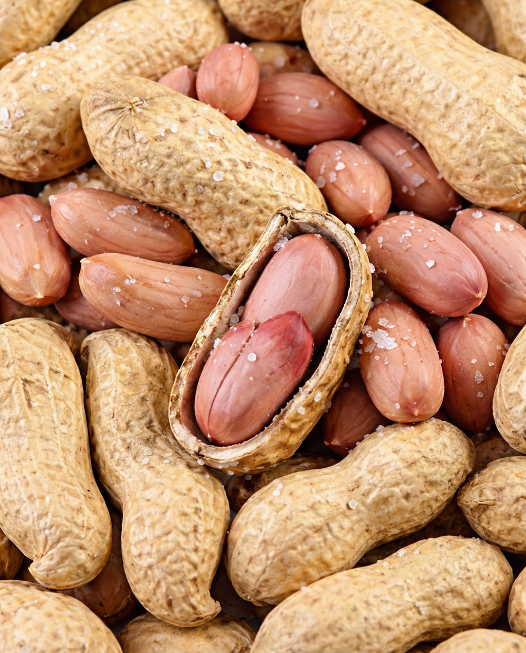 639787179 1467321184753257 5067182420771372179 n