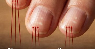 643383606 901965595910386 7363921092487996703 n