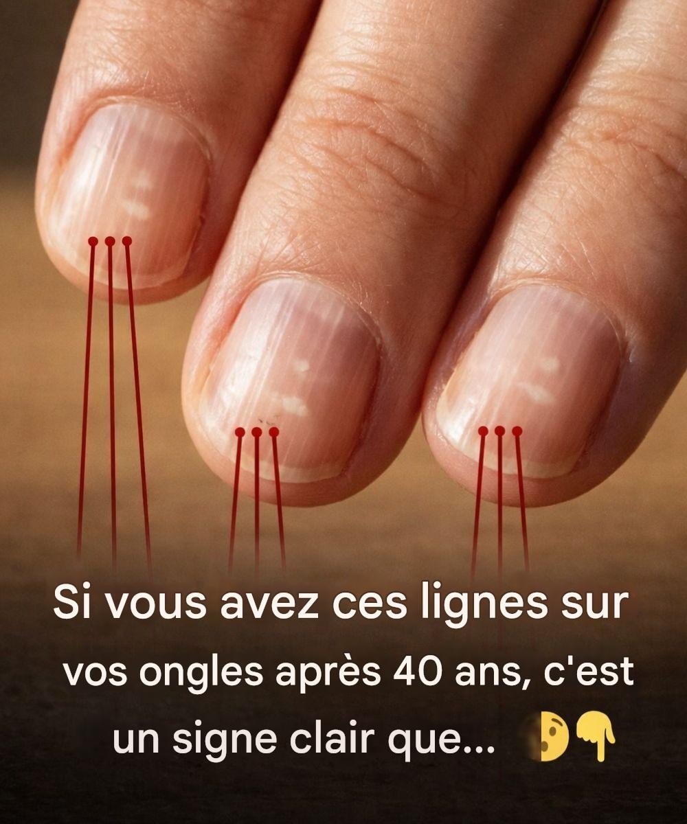 643383606 901965595910386 7363921092487996703 n