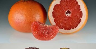 C40860a0 878a 465b 852a 698a34aed50b (1)