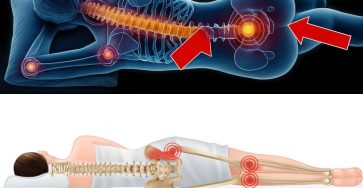 Dc82edeb 5d0f 4829 901e 87b9c7b28dec