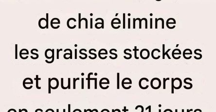 Telechargement 9 (1)