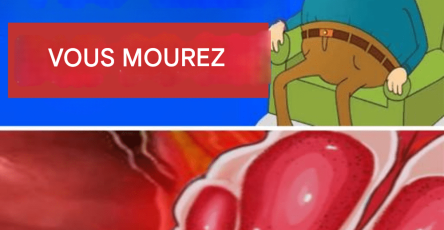 0bba74c5 6c87 4cc0 b31b 225e62408d3a