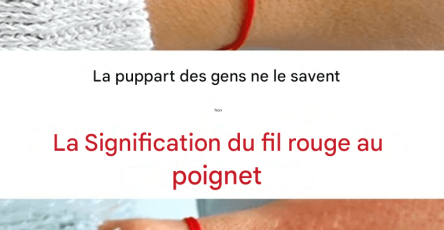 105ed47e 8150 461f bdff 7e9a48219961 1