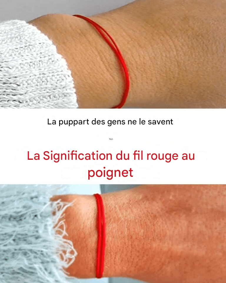 105ed47e 8150 461f bdff 7e9a48219961 1