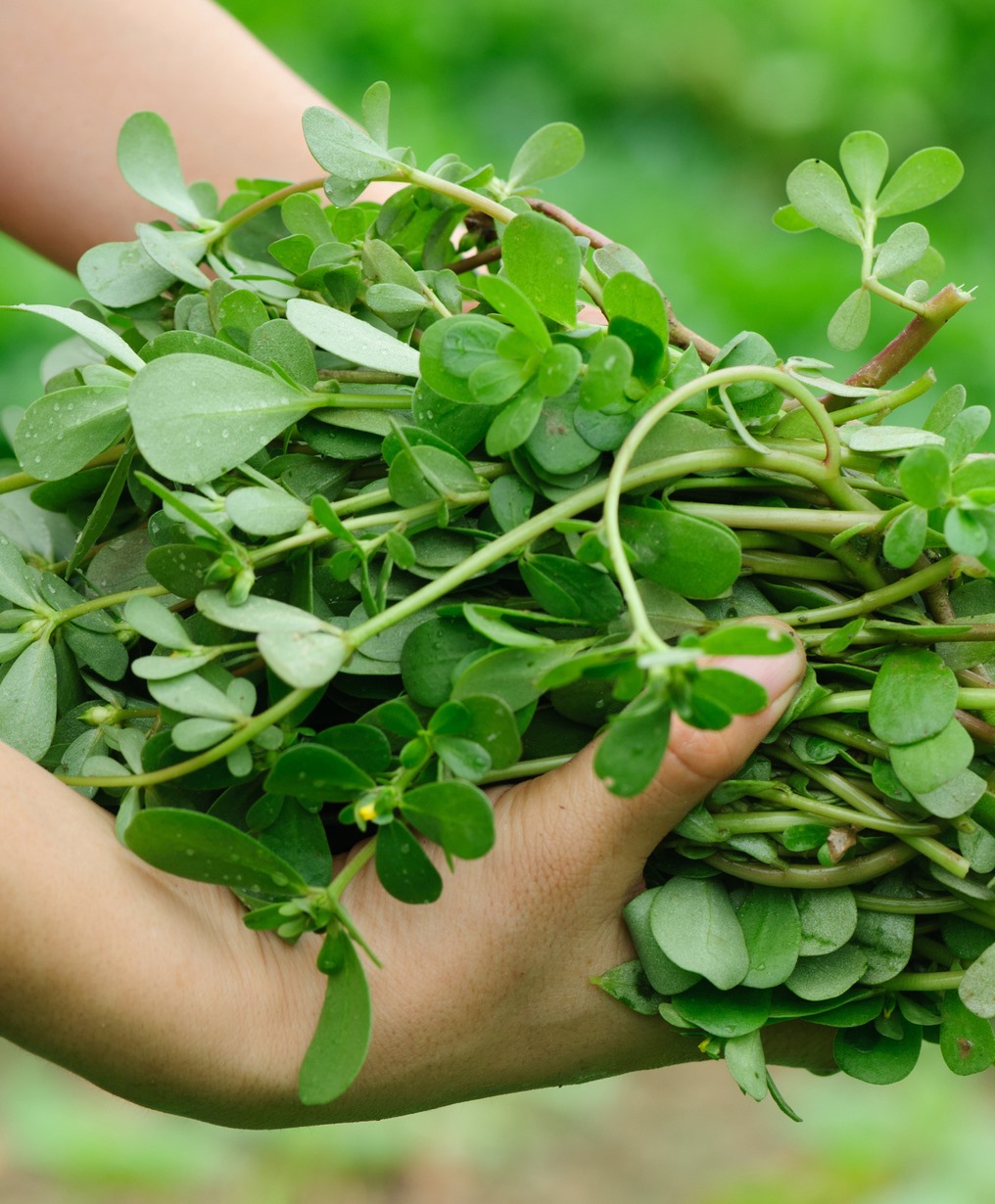 132491790 1147351012409628 7953074878661604605 n