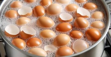 1f81aea36b4f043ad7 copy 758x416 6 1 taha 2 taha taha 2 185 1 159