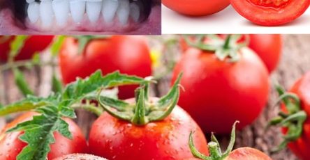 1f81aea36b4f043ad7 copy 758x416 6 1 taha 2 taha taha 2 185 1 2