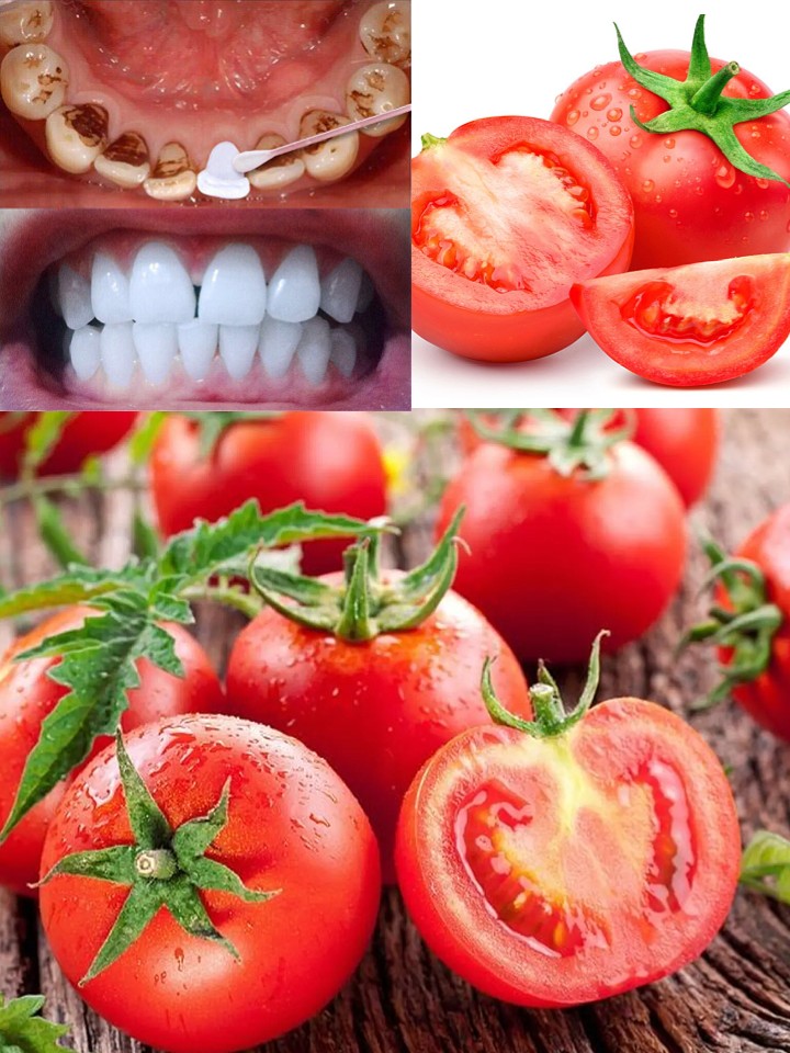 1f81aea36b4f043ad7 copy 758x416 6 1 taha 2 taha taha 2 185 1 2