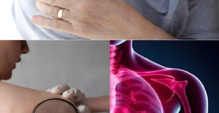 1f81aea36b4f043ad7 copy 758x416 6 1 taha 2 taha taha 2 185 1 2