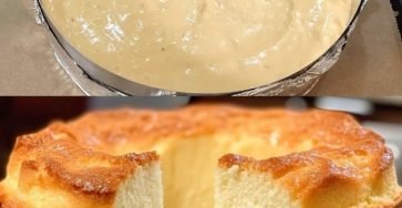 1f81aea36b4f043ad7 copy 758x416 6 1 taha 2 taha taha 2 185 1