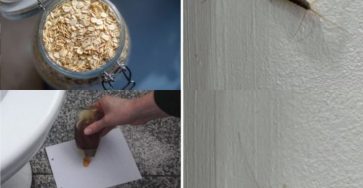 1f81aea36b4f043ad7 copy 758x416 6 1 taha 2 taha taha 2