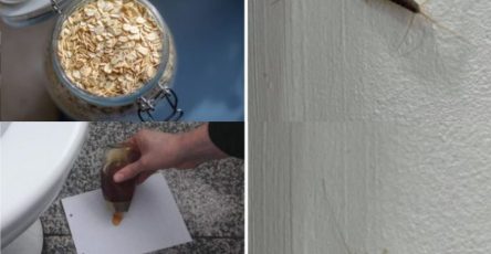 1f81aea36b4f043ad7 copy 758x416 6 1 taha 2 taha taha 2