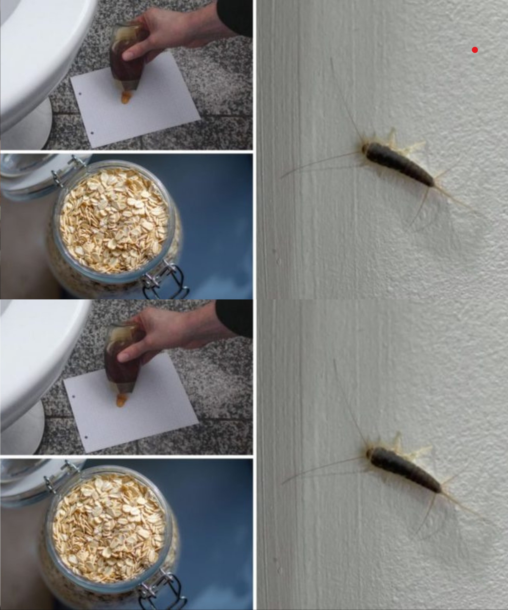 1f81aea36b4f043ad7 copy 758x416 6 1 taha 2 taha taha 2