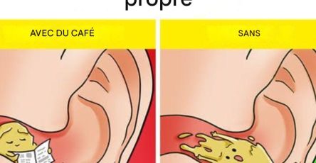 27f5350a 0c8f 42fa ba1d e2473ccc4ec2