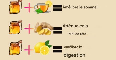 2f0f274b c493 407c 9588 9776e7c8d540