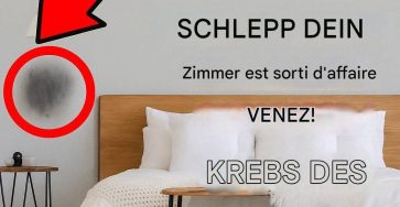 30426303 0e0c 45d1 a8d8 935944b27e2a