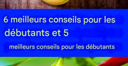 3488b913 c659 4126 9d41 dfc74720ea2d