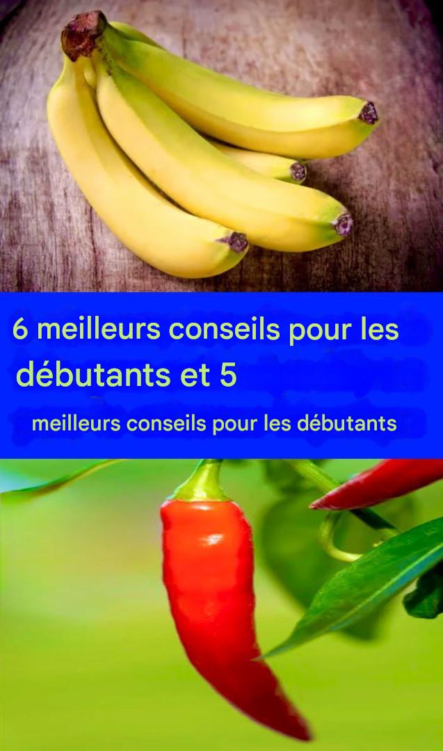 3488b913 c659 4126 9d41 dfc74720ea2d