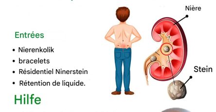 3663c72b 41aa 4f5d 959d aa3b44f72301