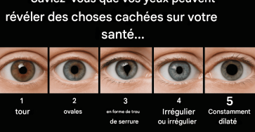 3b7a2e02 4eb4 46af 90b7 cb57dcd65cf9