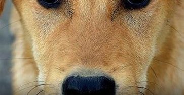 40b12e57 abe1 43cc 8063 0e214b8a7493