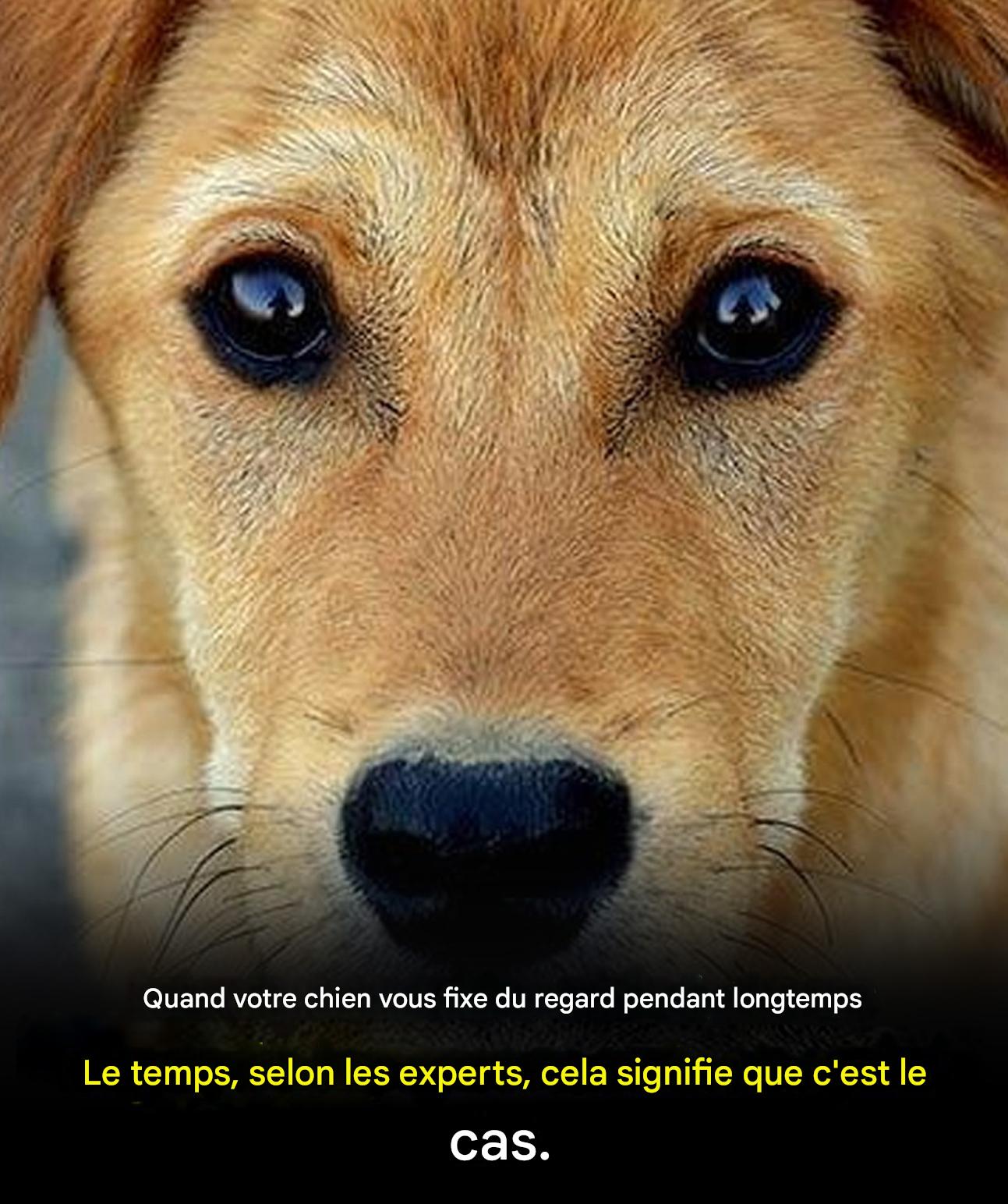 40b12e57 abe1 43cc 8063 0e214b8a7493